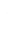Icon Integrity